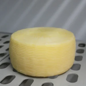 Formaggio semistagionato